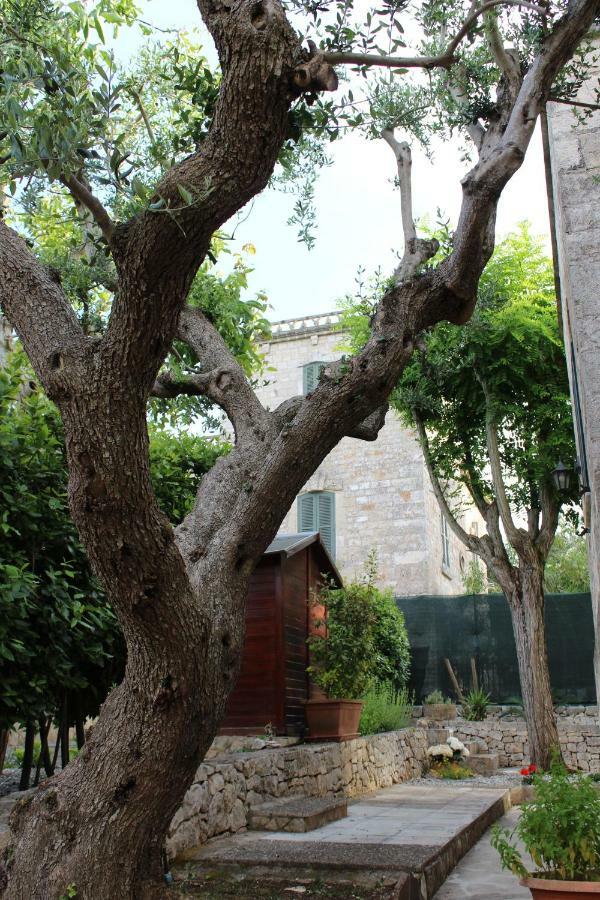 לינה וארוחת בוקר סלבה די פאסנו Domus Relax מראה חיצוני תמונה